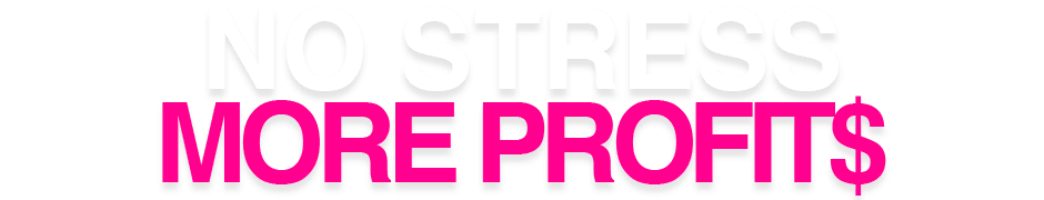 Marketing Made Simple. No Stress More Profits. Netti Scales Business